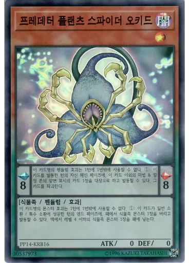 프레데터 플랜츠 스파이더 오키드
