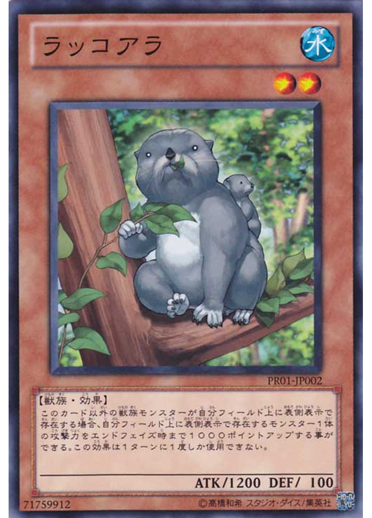 ラッコアラ