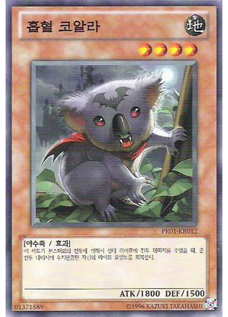흡혈 코알라