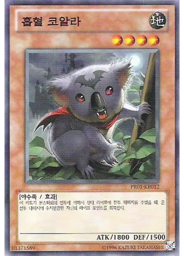 흡혈 코알라