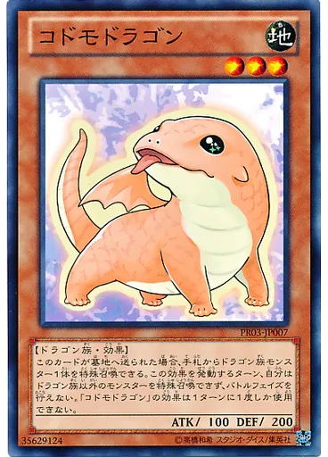 コドモドラゴン