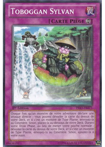 Toboggan Sylvan