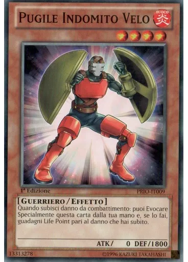 Pugile Indomito Velo