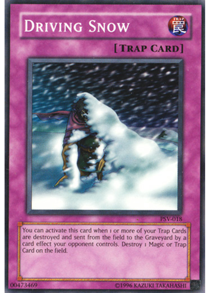 Driving Snow (Common Unlimited)
