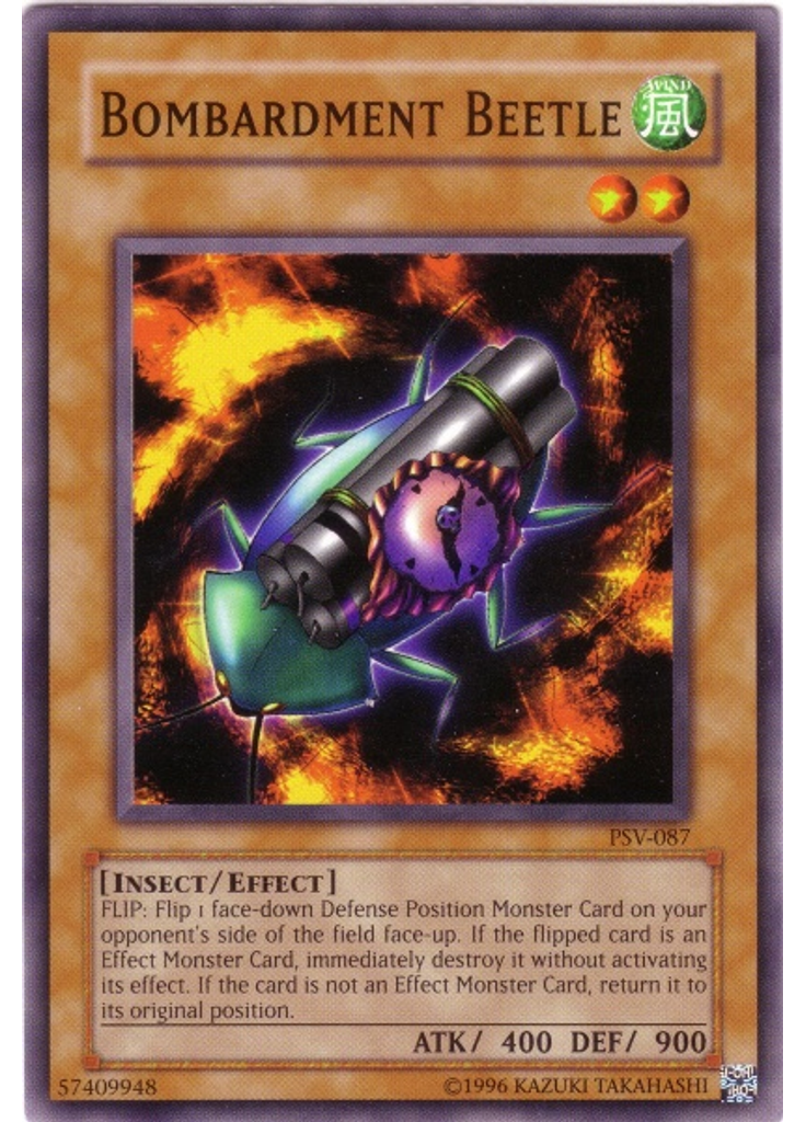 Bombardment Beetle