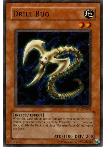 Drill Bug