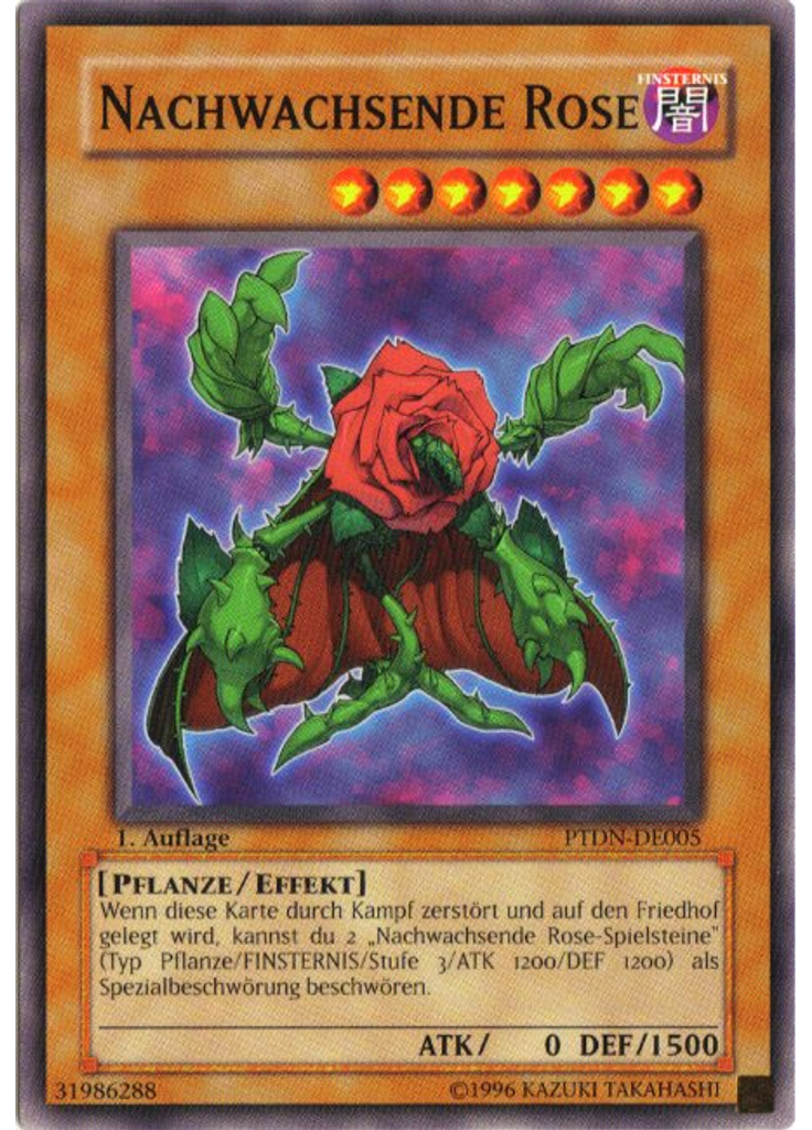 Nachwachsende Rose