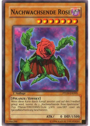 Nachwachsende Rose