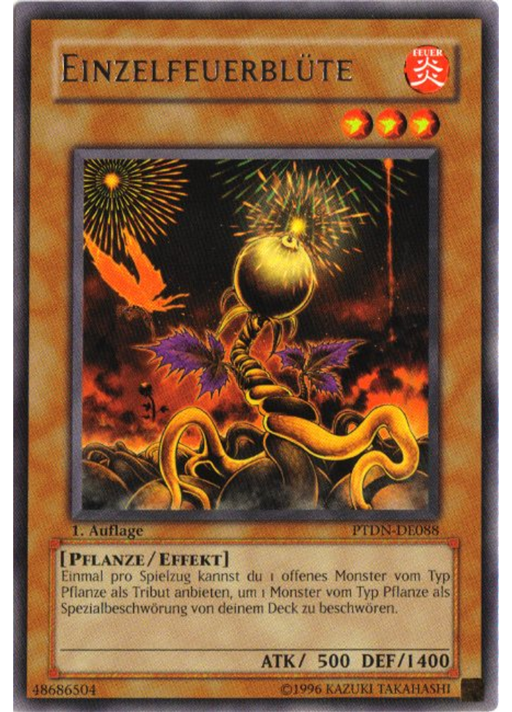 Einzelfeuerblüte