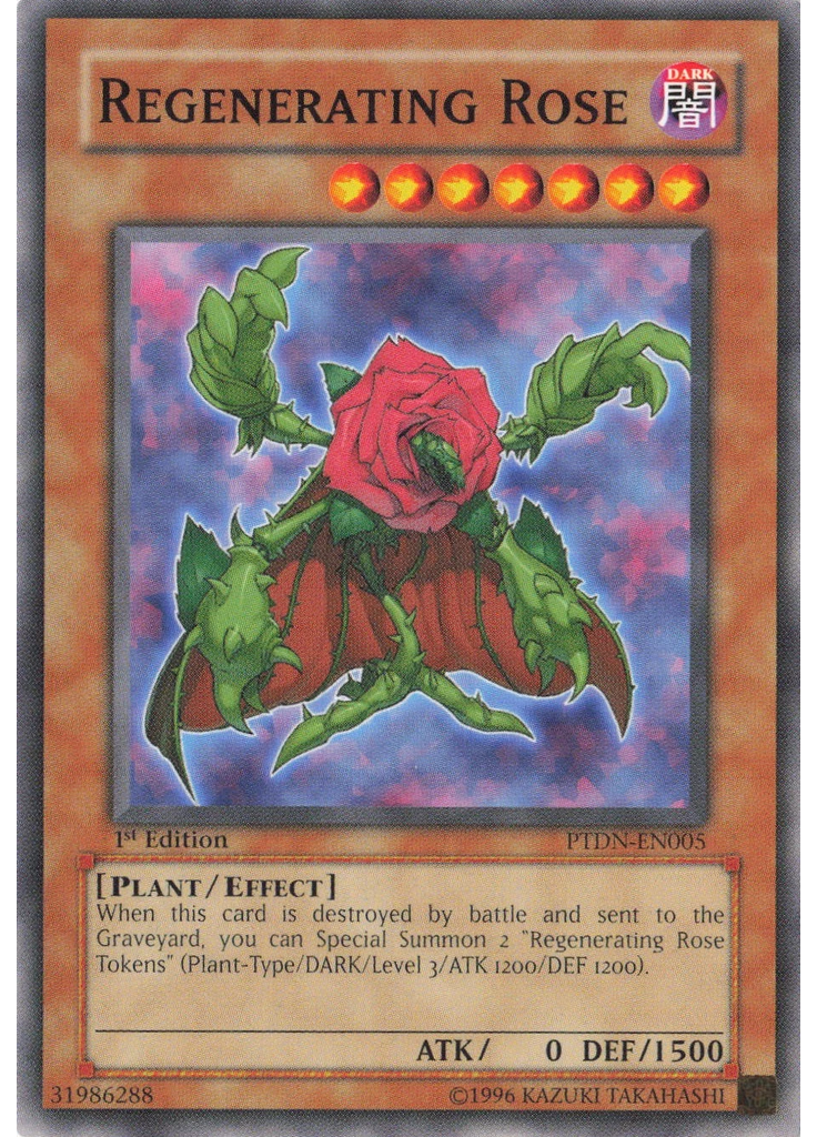 Regenerating Rose