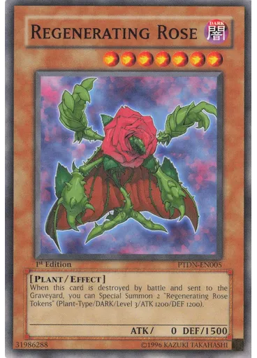 Regenerating Rose