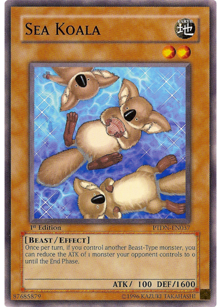 Sea Koala