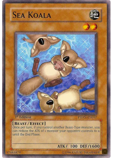 Sea Koala