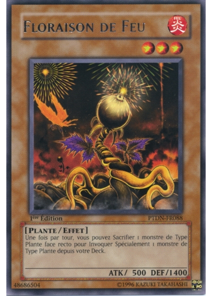 Floraison de Feu