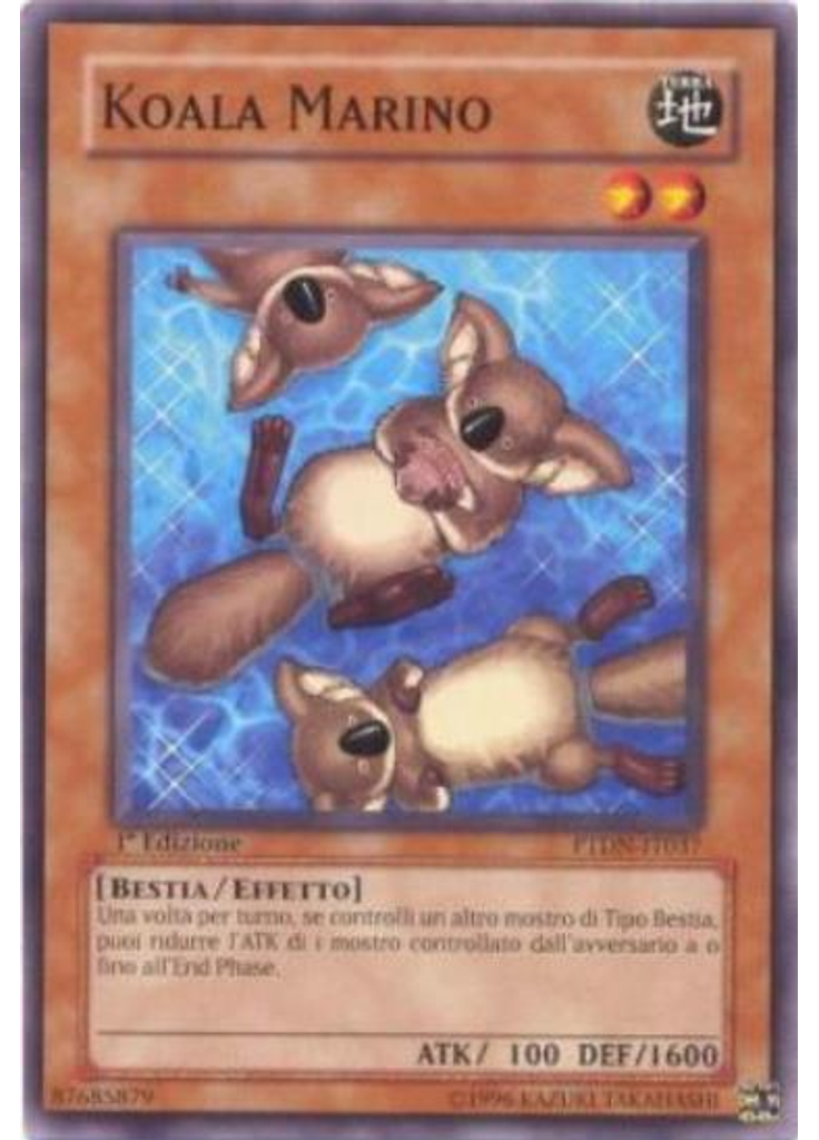 Koala Marino