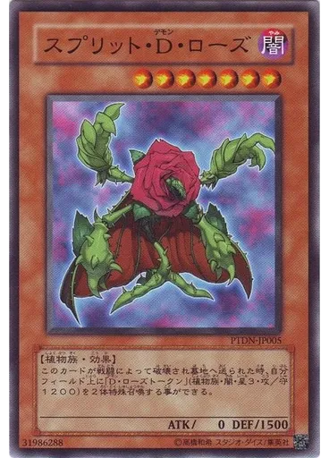 スプリット・Ｄ・ローズ