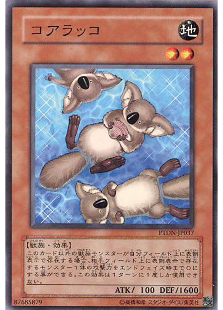 コアラッコ
