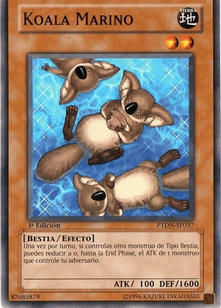 Koala Marino