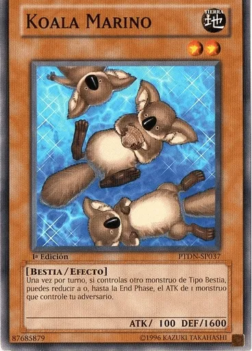 Koala Marino