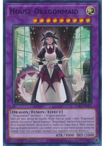 House Dragonmaid
