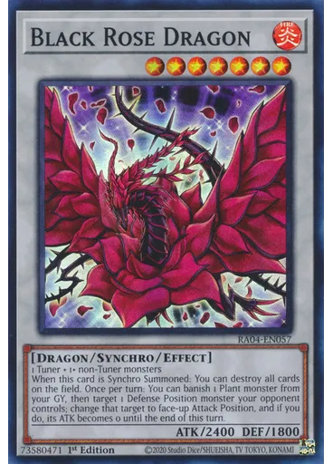 Black Rose Dragon