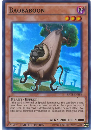 Baobaboon — Raging Tempest: Special Edition