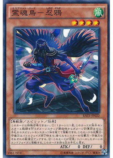 霊魂鳥－忍鴉 — Raging Tempest