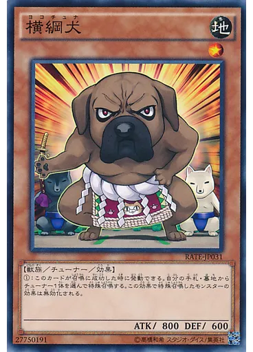横綱犬