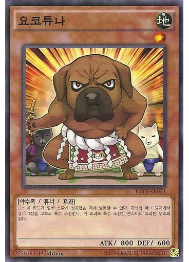 요코튜나