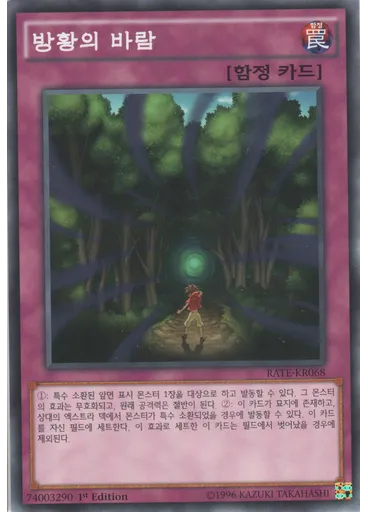 방황의 바람