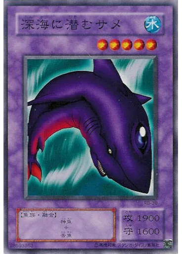 深海に潜むサメ