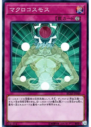 マクロコスモス
