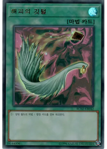 해피의 깃털