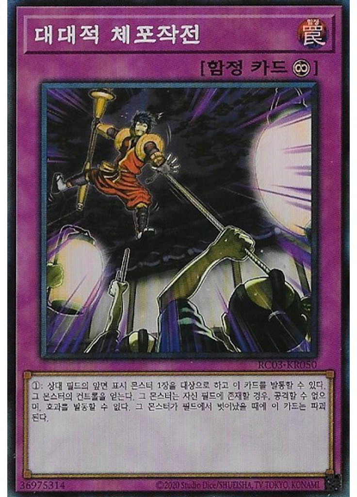 대대적 체포작전