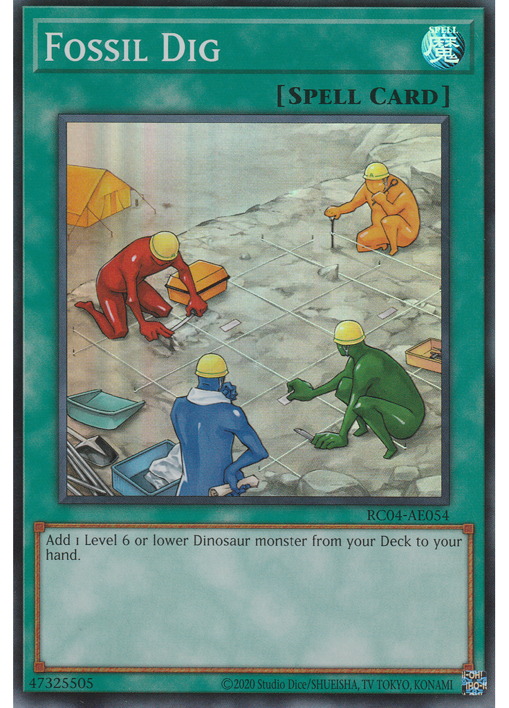 Fossil Dig