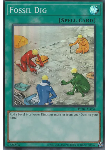 Fossil Dig