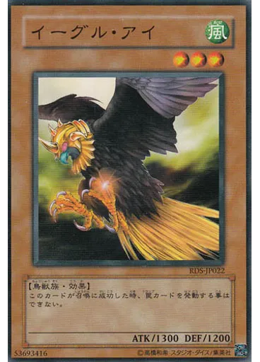 イーグル・アイ