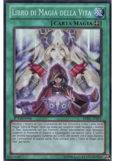 Libro di Magia della Vita