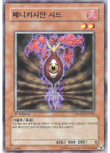 페니키시안 시드