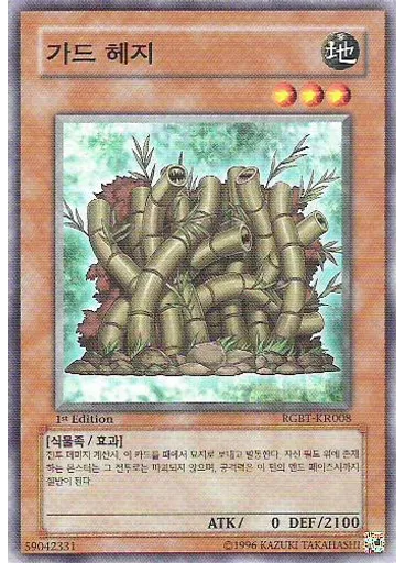 가드 헤지