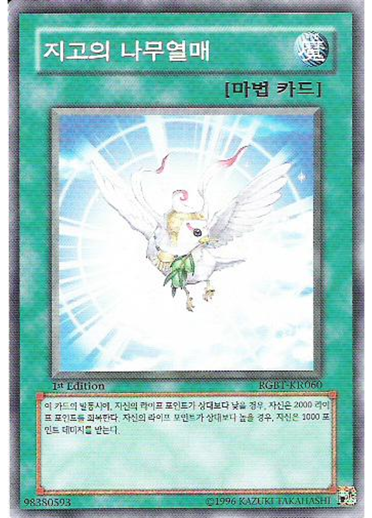 지고의 나무열매