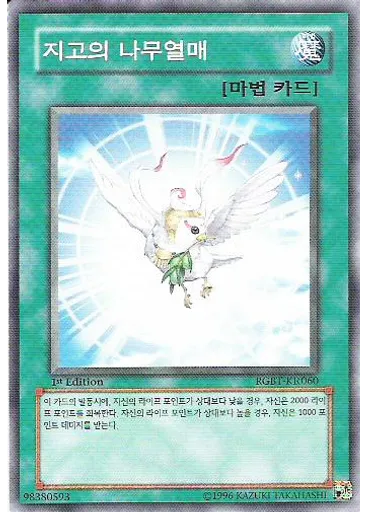 지고의 나무열매