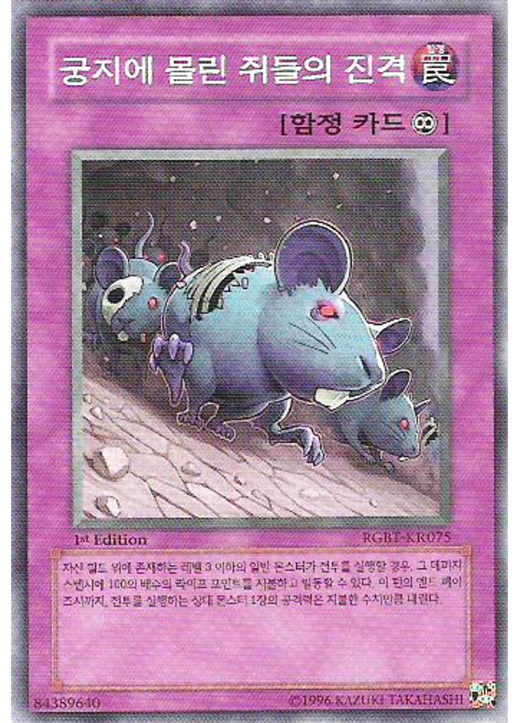 궁지에 몰린 쥐들의 진격