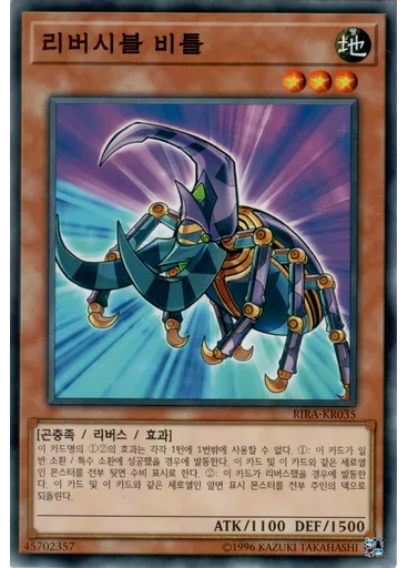 리버시블 비틀