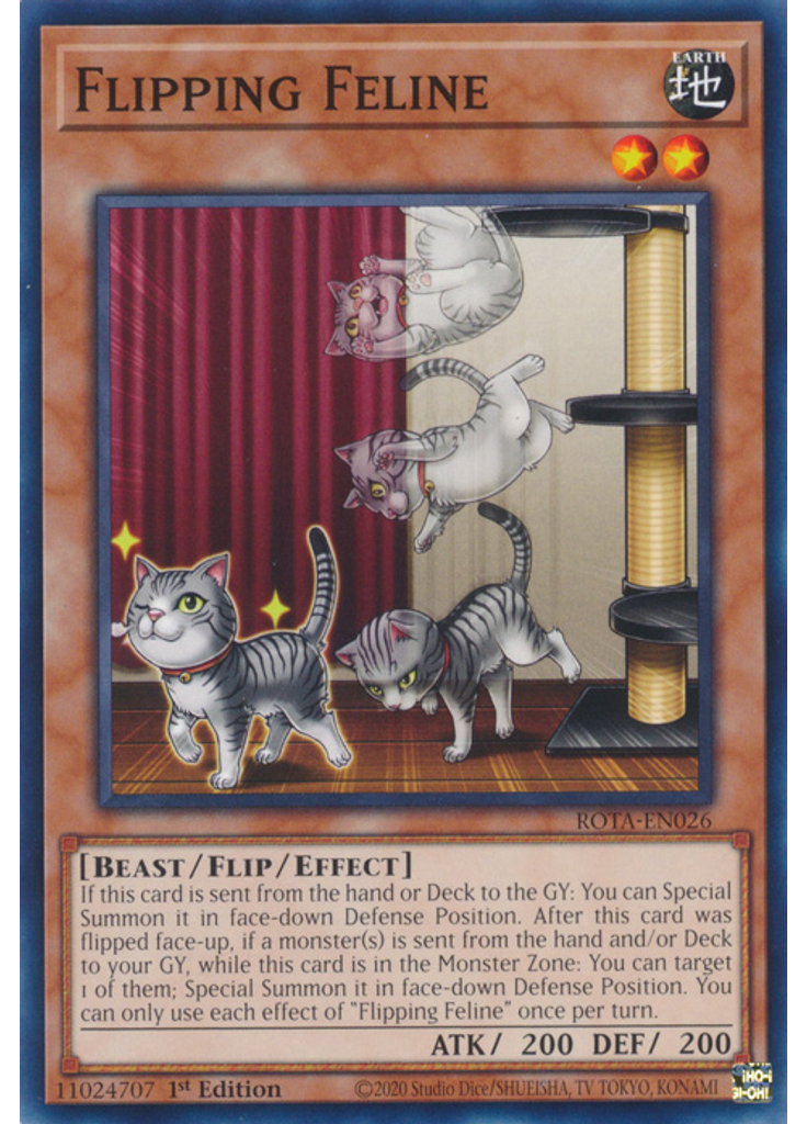 Flipping Feline
