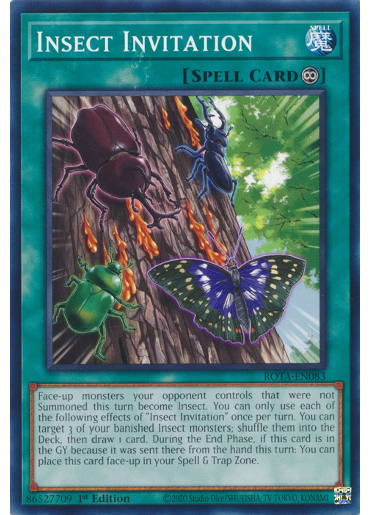 Insect Invitation
