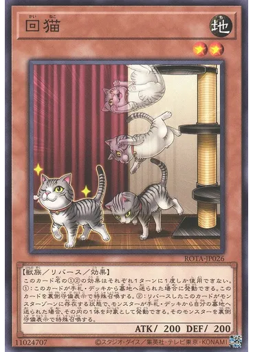 回猫