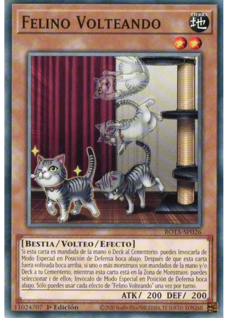 Felino Volteando