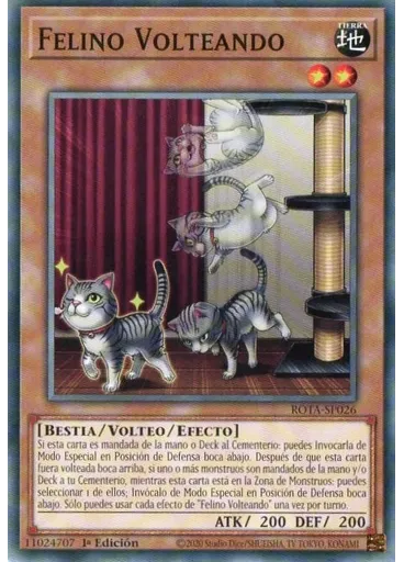 Felino Volteando