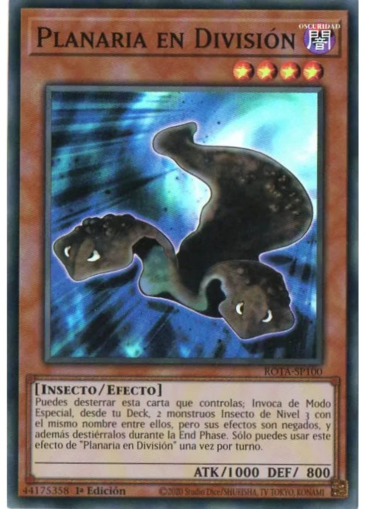 Planaria en División